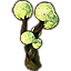 Apocrypha Tree, Branched Green Spore